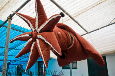 Plüschiger  Geselle in Malcolm Clarkes  privaten Walmsuem in Sao Joao do Pico