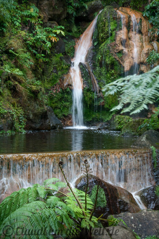 Sao Miguel - Fotos von der Azoren-Insel