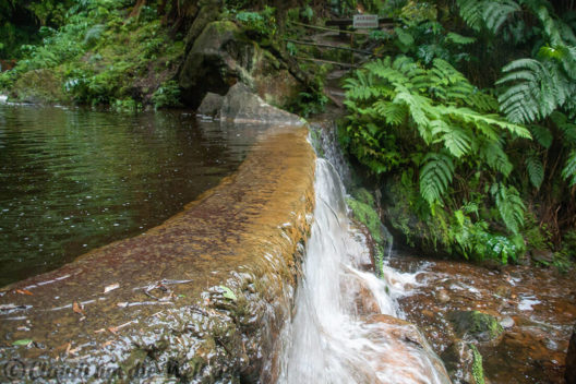 Naturpool Caldeira Velha