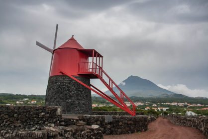 Windmühle im Weinberg