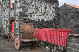 Die meisten Gehöfte in Madalena gehören Weinbauern
