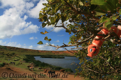 Im Inneren des Rano Raraku