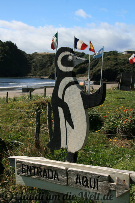 Chiloe_18