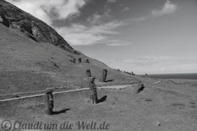 Chile_Rapanui_sw_15