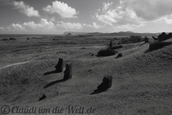 Chile_Rapanui_sw_18