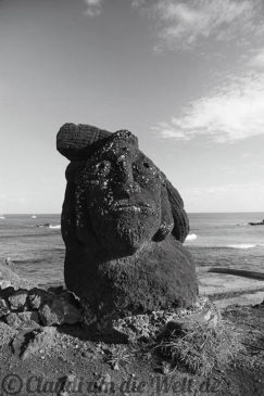 Chile_Rapanui_sw_28