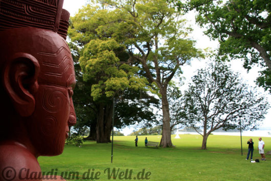 Neuseeland_Nordinsel_1100