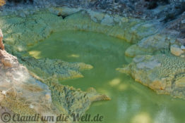 Neuseeland_Nordinsel_2780_1