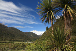 Neuseeland_Suedinsel_5445