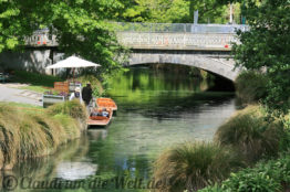 Neuseeland_Suedinsel_8306