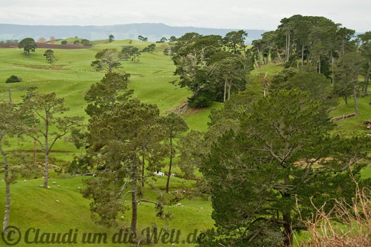 Neuseeland_hobbiton_02