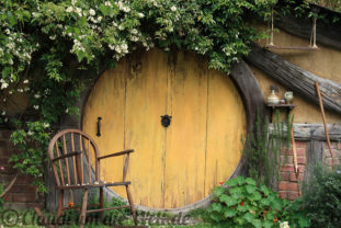 Neuseeland_hobbiton_1681