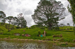 Neuseeland_hobbiton_1711