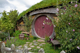 Neuseeland_hobbiton_1755