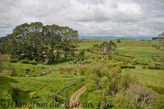 Neuseeland_hobbiton_1792
