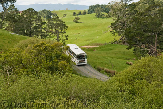 Neuseeland_hobbiton_03