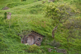 Neuseeland_hobbiton_1831