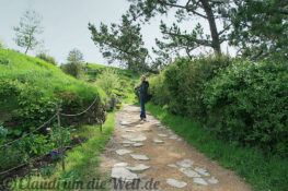 Neuseeland_hobbiton_20