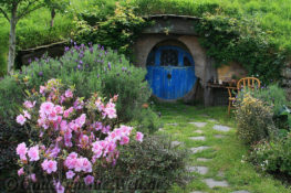 Neuseeland_hobbiton_1858