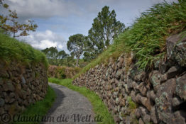 Neuseeland_hobbiton_21