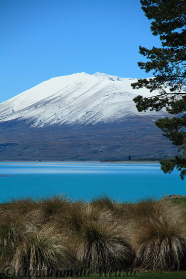 NLakefront Backpackers am Lake Tekapo
