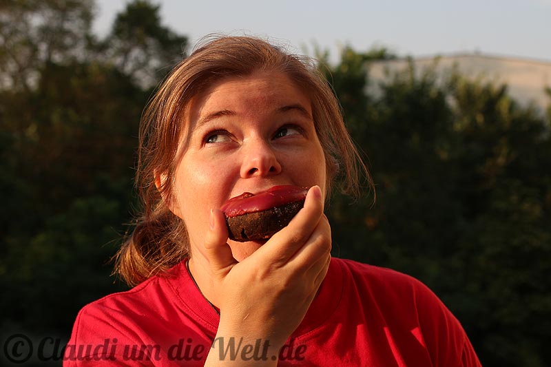 Donutexperiment in Kanada