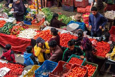 Tomatenstand in der Markthalle von Chichicastenango