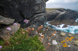 Schottland Hebriden Butt of Lewis