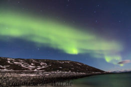 Nordlichter über Hammerfest, Nordnorwegen