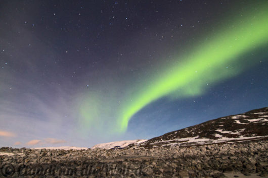 Nordlichter über Hammerfest, Nordnorwegen