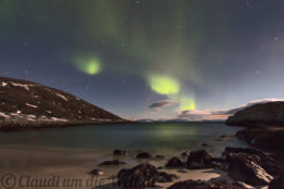 Nordlichter über Hammerfest, Nordnorwegen