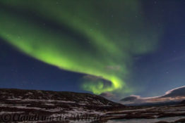 Nordlichter über Hammerfest, Nordnorwegen