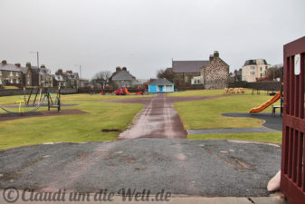 Uphellyaa 2015 Shetland Lerwick burning-field