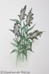 jordanien-skizze-azraq