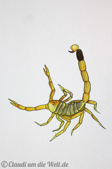 jordanien-skizze-skorpion