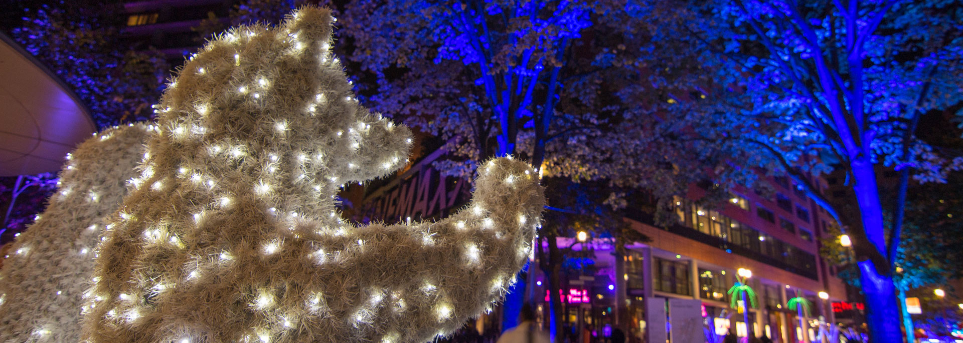 Fotos: Berlin leuchtet 2015