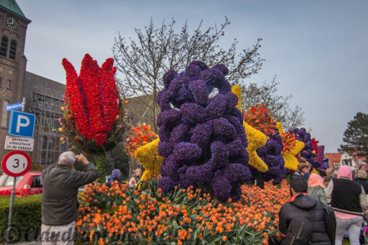 Blumencorso durch den Bollenstreek