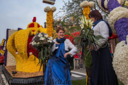 Blumencorso durch den Bollenstreek