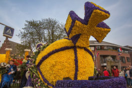 Blumencorso durch den Bollenstreek