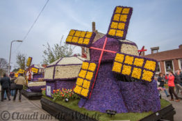 Blumencorso durch den Bollenstreek