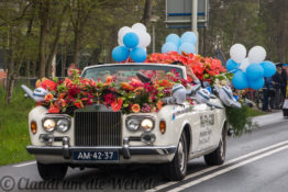 Blumencorso durch den Bollenstreek