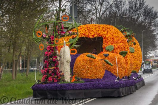 Blumencorso durch den Bollenstreek