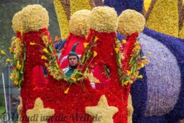 Blumencorso durch den Bollenstreek