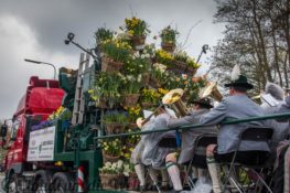 Blumencorso durch den Bollenstreek