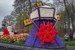 Blumencorso durch den Bollenstreek