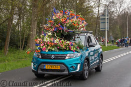 Blumencorso durch den Bollenstreek