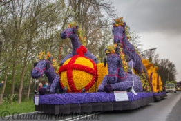 Blumencorso durch den Bollenstreek