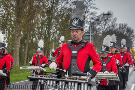 Blumencorso durch den Bollenstreek