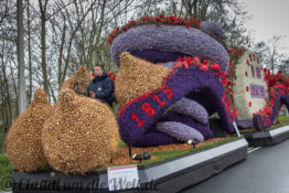 Blumencorso durch den Bollenstreek