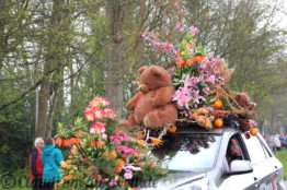 Blumencorso durch den Bollenstreek